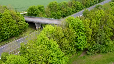 drone descending behind trees showing a2 dual carriage way in canterbury