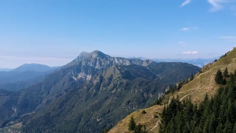 aerial view of a mountain range in slovenia surrounded by beautiful green pine tree forest