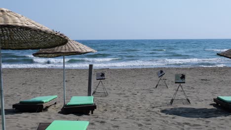 caretta caretta huevos playa en turquía