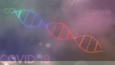 DNA-and-coronavirus-titles-over-gradient-background.