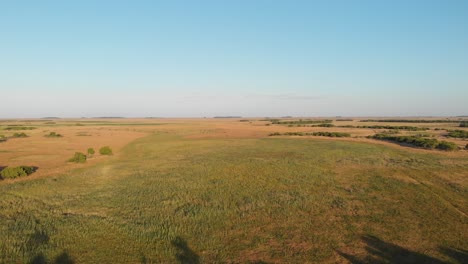 campo argentino