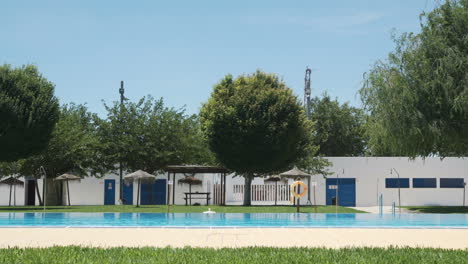 swimming pool with people enjoying a summer day