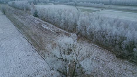 Luftaufnahme-Der-Winterlandschaft