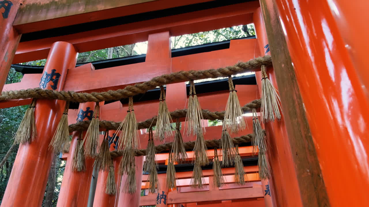 Lots of red Torii gate corridor at Fushimi Inari Taisha, Kyoto Japan