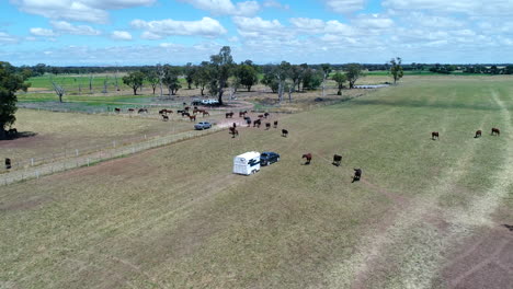 Coche-Con-Remolque-De-Caballos-Conduciendo-Por-El-Campo-De-Caballos