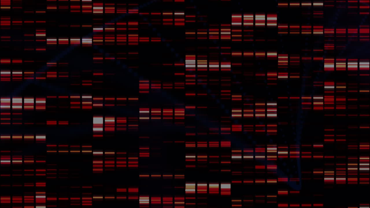 Animation of red lights on black background