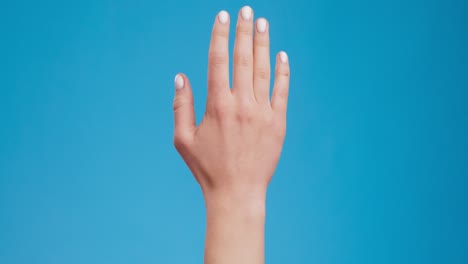 raised hand on blue background