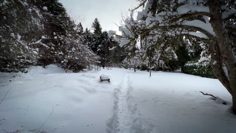 deep snow pathway through winter wonderland to forest farm