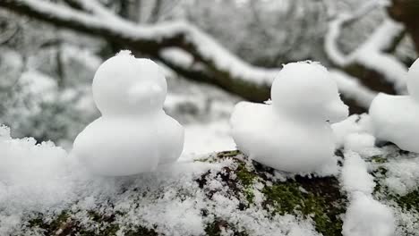 Conjunto-De-Decoración-De-Patos-De-Nieve-En-Forma-Sentados-En-Fila-En-La-Puerta-De-Madera-Del-Bosque-De-Invierno