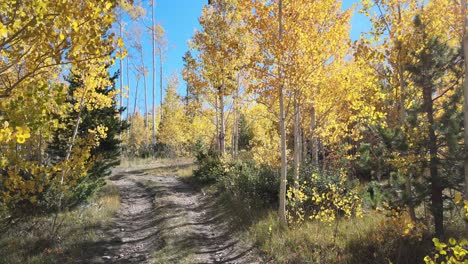 fall mountain drone shot following along a gravel road in the back country