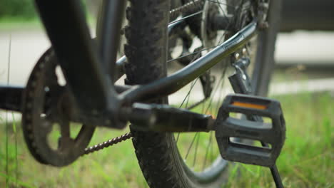 close-up of bicycle pedal and chain with a person's leg preparing to remove stand, set against lush green background, showcasing intricate bike details and active outdoor moment in park setting