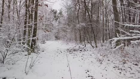 Paisaje-De-Nieve-Blanca-Caminando-Por-Un-Sendero-En-El-Bosque-Cubierto-De-Nieve-Fresca-Y-Hielo,-Sin-Gente