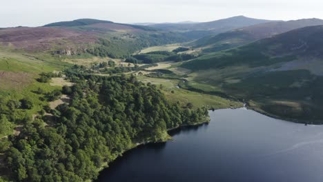 beautiful serene landscape of lough tay lake, guinness lake in the wicklow mountains, with the green forest on a sunny day-5