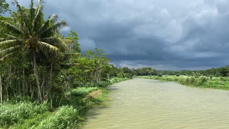 luz solar en un río tropical exuberante y fangoso con nubes tormentosas en el horizonte, vista estática