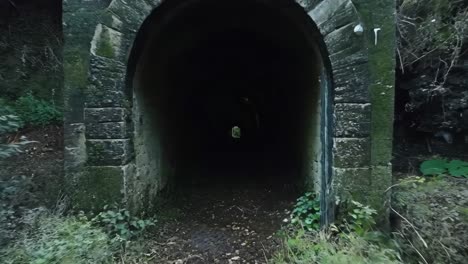 a dark tunnel in the middle of a forest