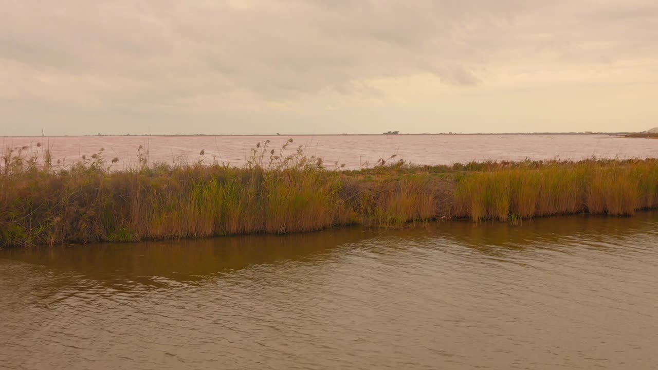 Vista serena delle zone umide della salina di Peccais vicino ad Aigues Mortes, Francia. Canne naturali ondeggiano lungo acque torbide sotto un cielo al tramonto rosa tenue, mettendo in mostra la bellezza dell'ecosistema costiero mediterraneo.