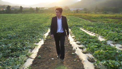 young asian business man walking in field