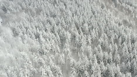 aerial circle pan over snowy mountains with pine forest and houses, kohutka