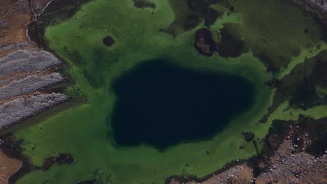 deep blue sinkhole surrounded by vivid green algae in the burren, ireland