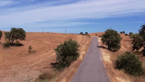 vista aérea de drones de carretera asfaltada vacía con prados en alentejo, portugal