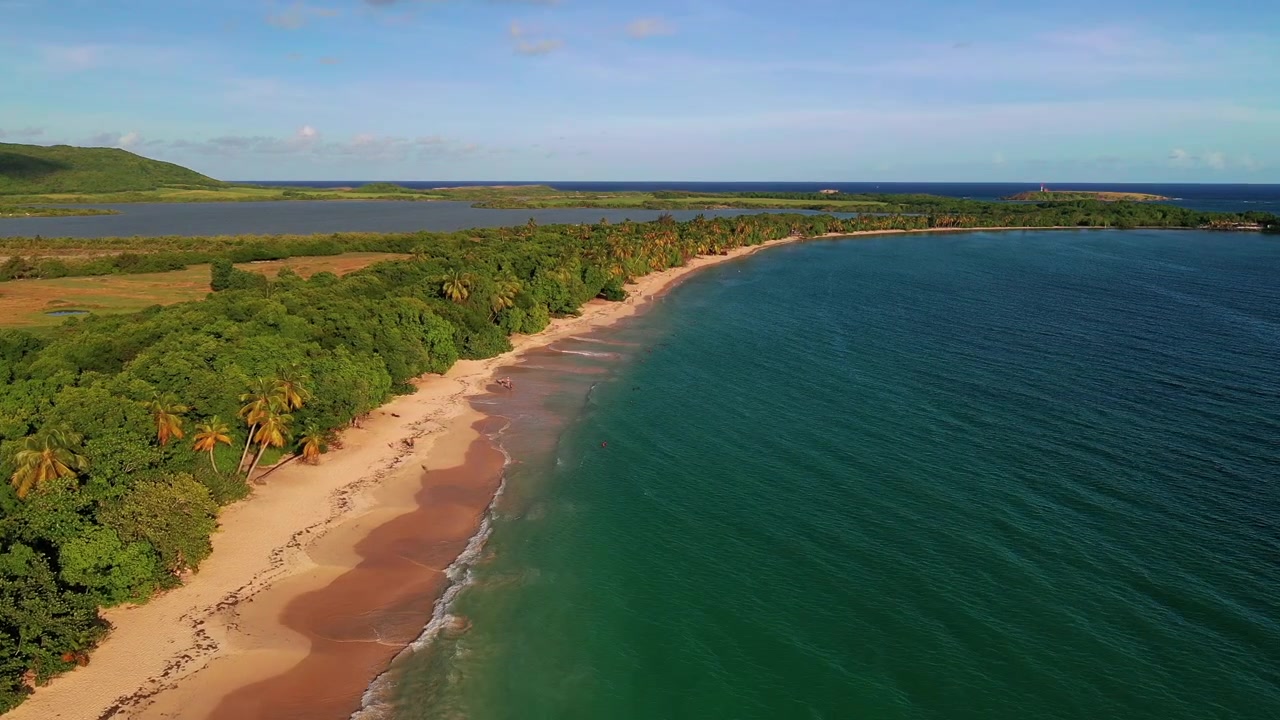 Litorale con spiaggia di sabbia bianca, acqua turchese e alberi, Grande Anse des Salines