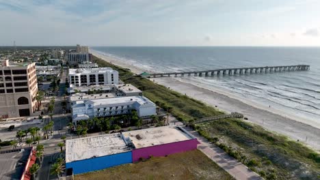 Aerial-low-push-over-palms-Jacksonville-Beach-Florida