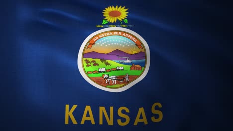 waving flag of kansas. realistic close up slow motion 3d animation