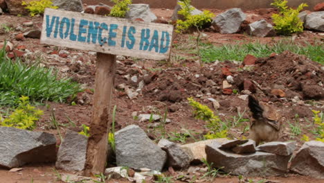 violence is bad sign and chicken roaming free in uganda