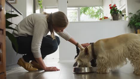 Kaukasische-Frau-Füttert-Ihre-Hunde-Im-Wohnzimmer-Zu-Hause