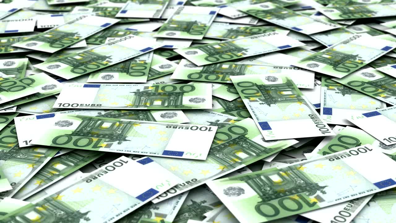 el importe de la cuota de capital del euro