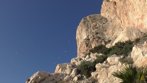 calpe spain pina de ifac birds circling the steep rock face bathed in golden winter sunshine and blue sky