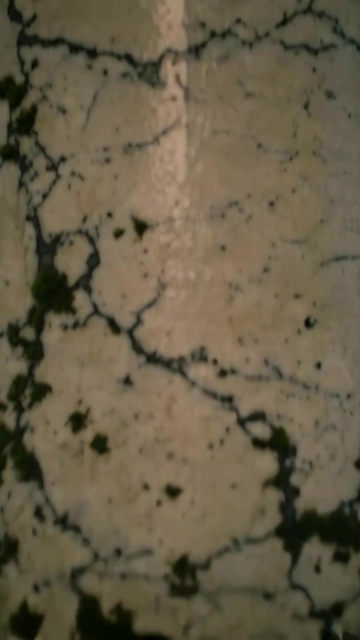 Video verticale: Inizio ripresa, telecamera che si alza rivelando un muro di cemento con gradini, fessure, muschio e umidità.