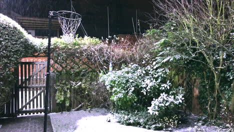 snow falls past a netball hoop in an english cottage garden