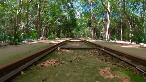 a dolly in shot going along a small rail road inside of a tropical rain forest in riviera maya, mexico inside of an ecological resort full of cenotes and wildlife on a sunny summer day on vacation