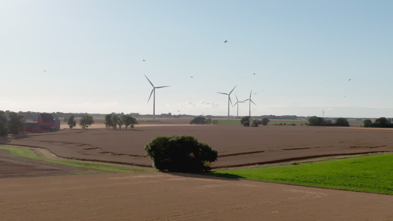 스웨덴 농촌 지역의 갈매기와 함께 멋진 자연 공중 장면