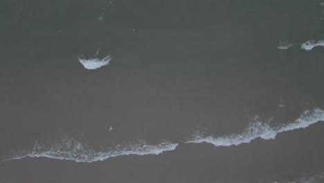 waves of lake michigan in autumn
