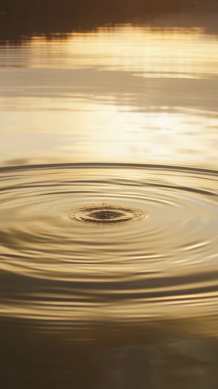 Vertical video: Rippling rings spreading on pond at sunset, triggered by droplet reflecting sun