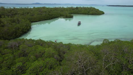 vista aérea de un bosque de manglares verdes y un barco turístico que transporta turistas en la isla de leebong en belitung, indonesia