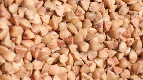 a close up of a pile of buckwheat grains. a detailed view of a pile of buckwheat seeds, a popular plant-based ingredient in cuisine, known as a superfood and staple food