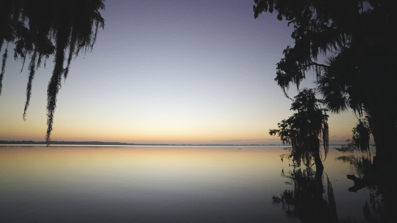 Cypress Tree Moss Lake Dawn Landscape