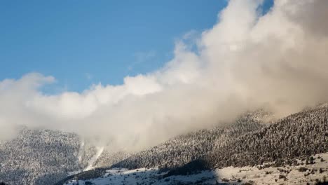 皮雷尼山脈 (pyrenees)