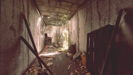 exploring an abandoned and overgrown building interior