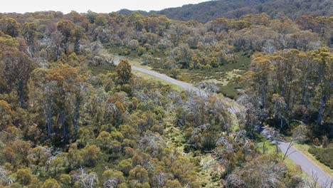 car with kayak on the roof rack driving through mountain bushland