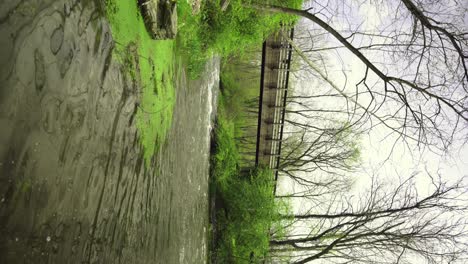 puente que conduce a través de un arroyo