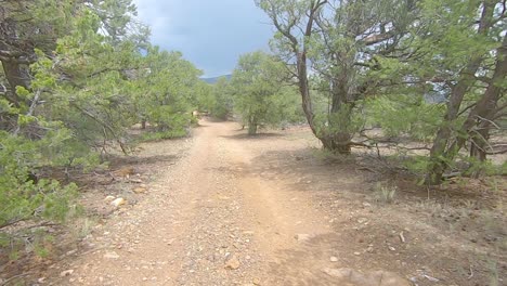 pov a través de la ventana trasera mientras conduce un vehículo todoterreno en un camino de tierra en las montañas rocosas de colorado
