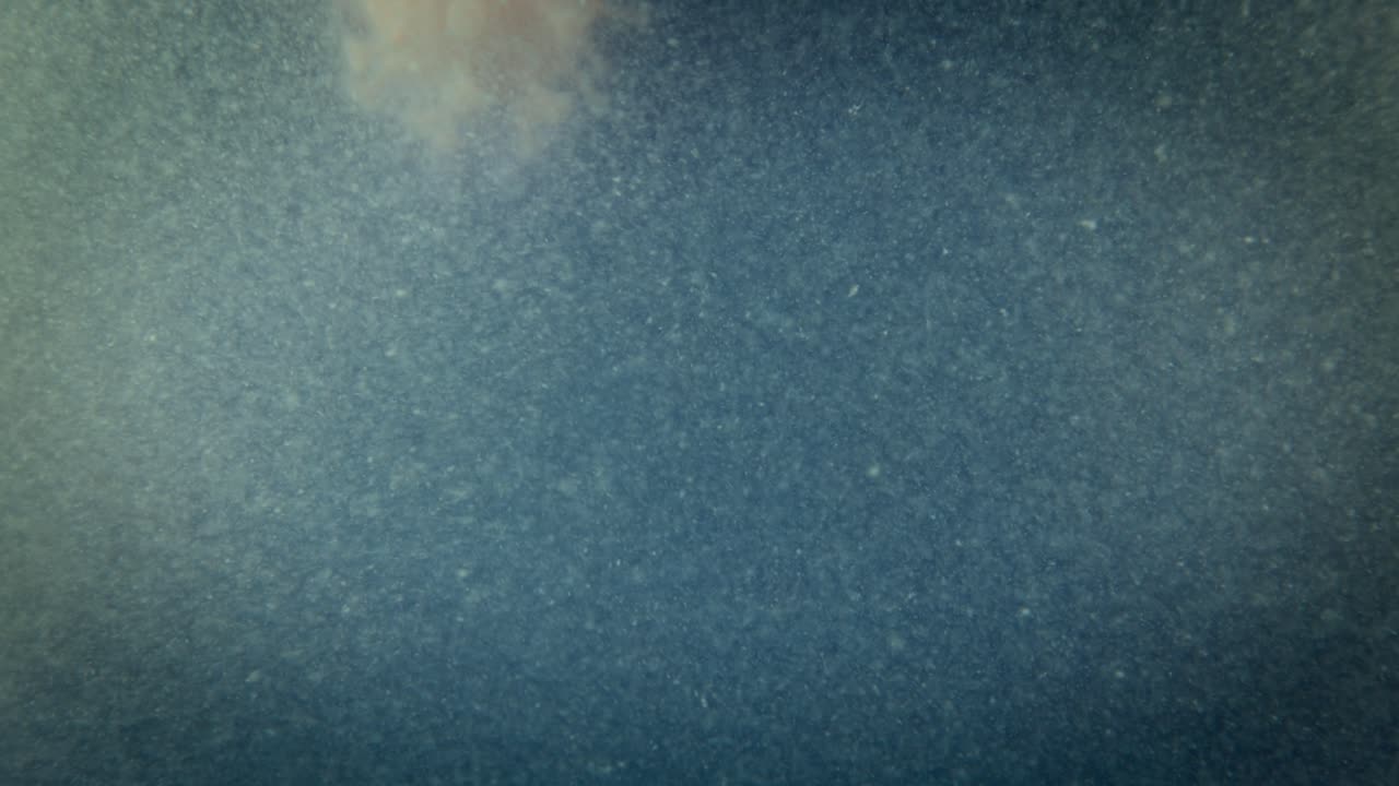 코로나19 팬데 ⁇  현미경 바이러스 분자 매크로 클로즈업.