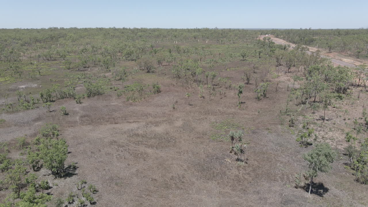 un dron en movimiento aéreo disparó contra la copa de un árbol en el interior de australia, territorio del norte