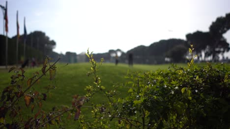 Menschen-Im-Hintergrund-Auf-Einem-Golfplatz,-Die-Den-Sport-Ausüben