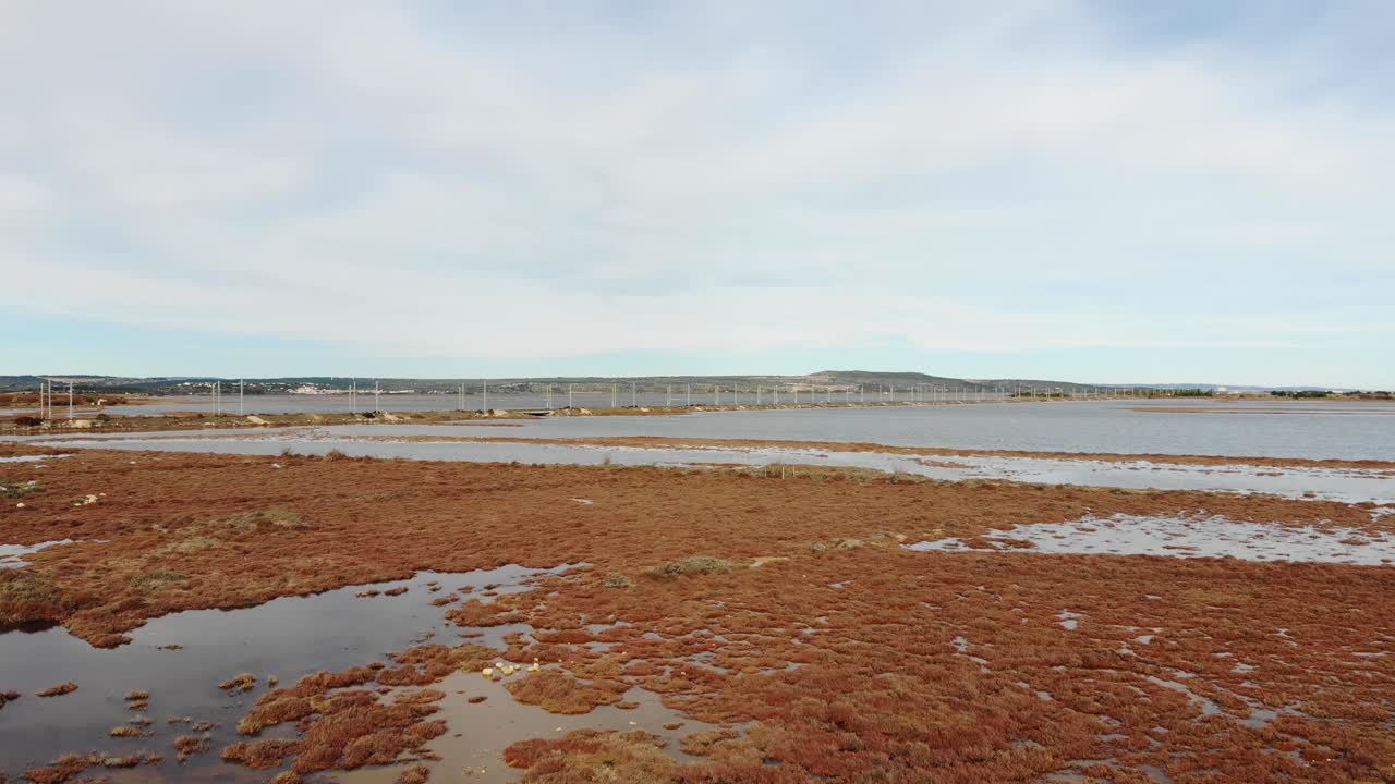 Aerial: marsh in southern France with a train track in the background in winter