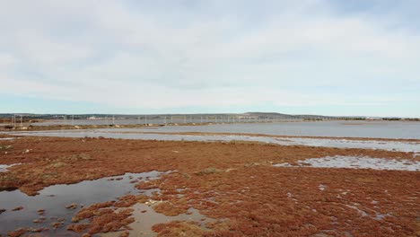 Aerial:-marsh-in-southern-France-with-a-train-track-in-the-background-in-winter